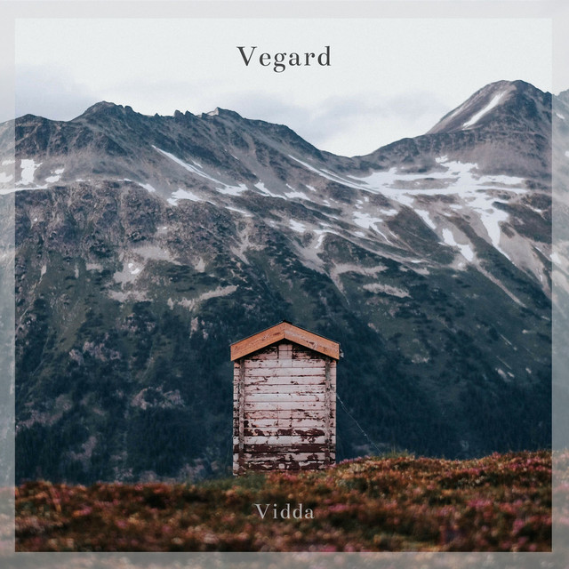 Vidda cover