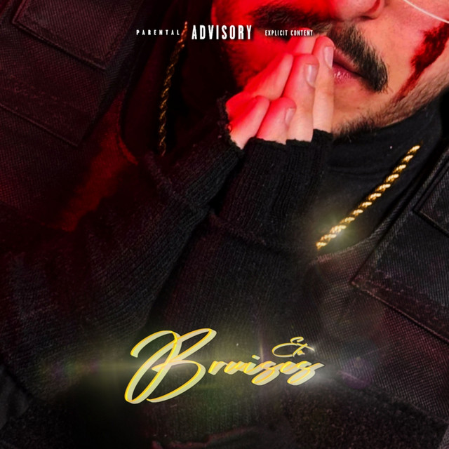 Bruises cover art