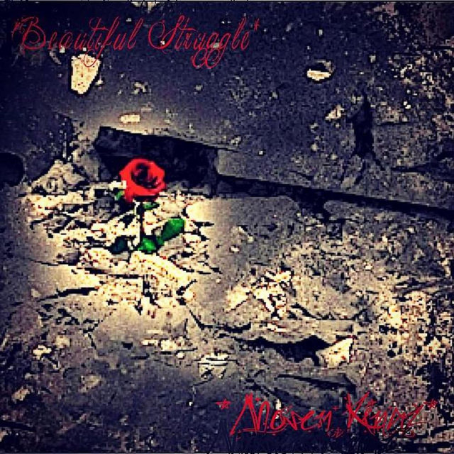 Beautiful Struggle cover art