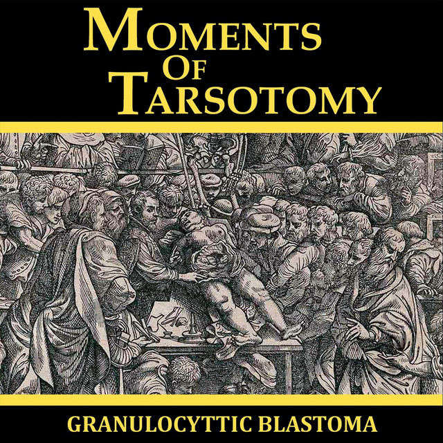 Granulocytic Blastoma Photo