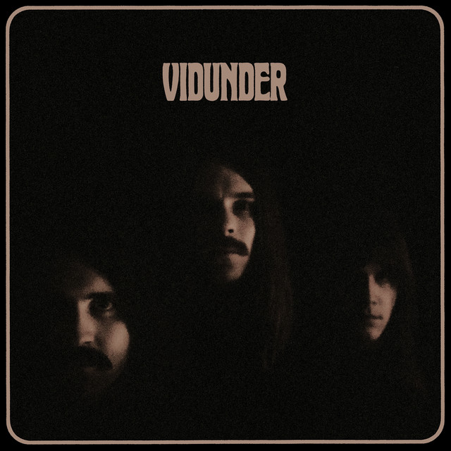 Vidunder cover art