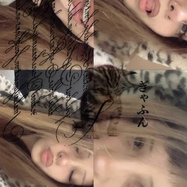 FOCUSED cover art