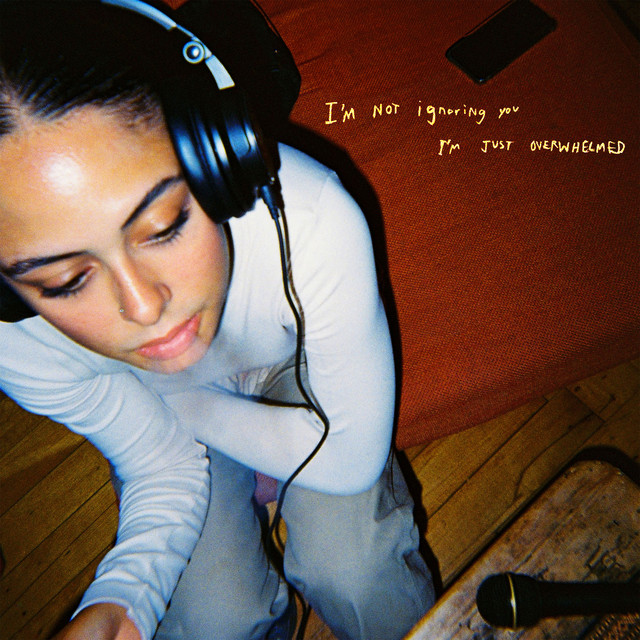 I'm Not Ignoring You, I'm Just Overwhelmed cover art