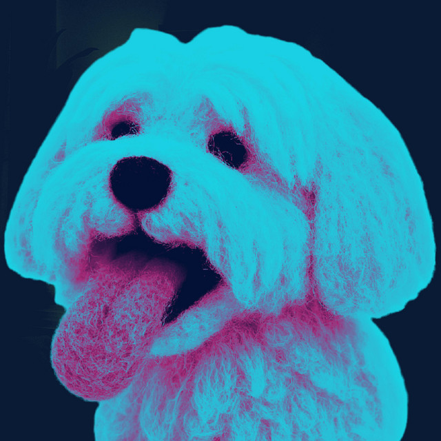群青Öz cover art
