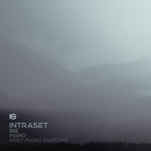 PIANO: Grey Piano Anatomy cover art