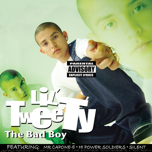 The Bad Boy cover art