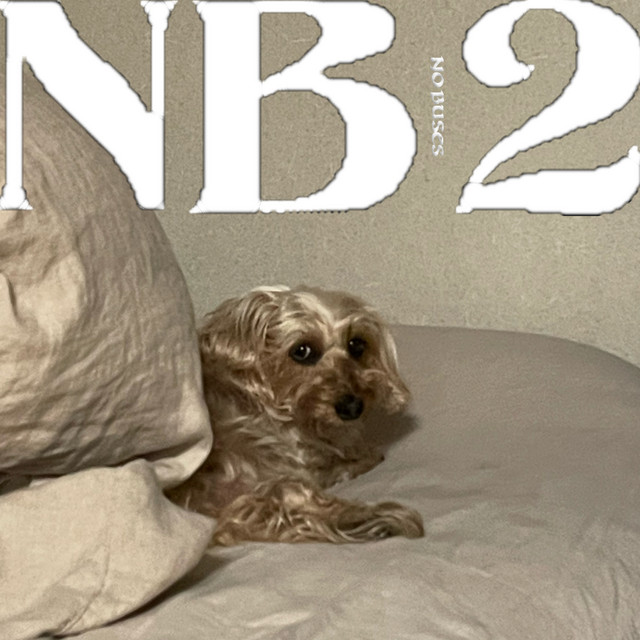 NB2 cover art