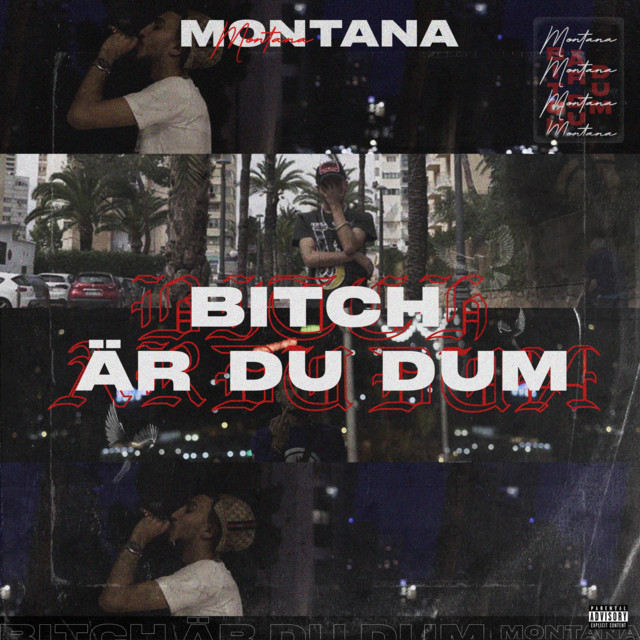 Bitch är du dum