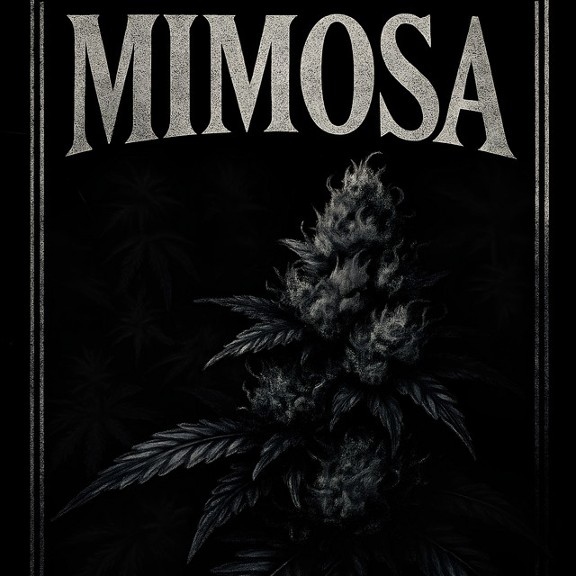 Обкладинка: Mimosa — CHYUKA