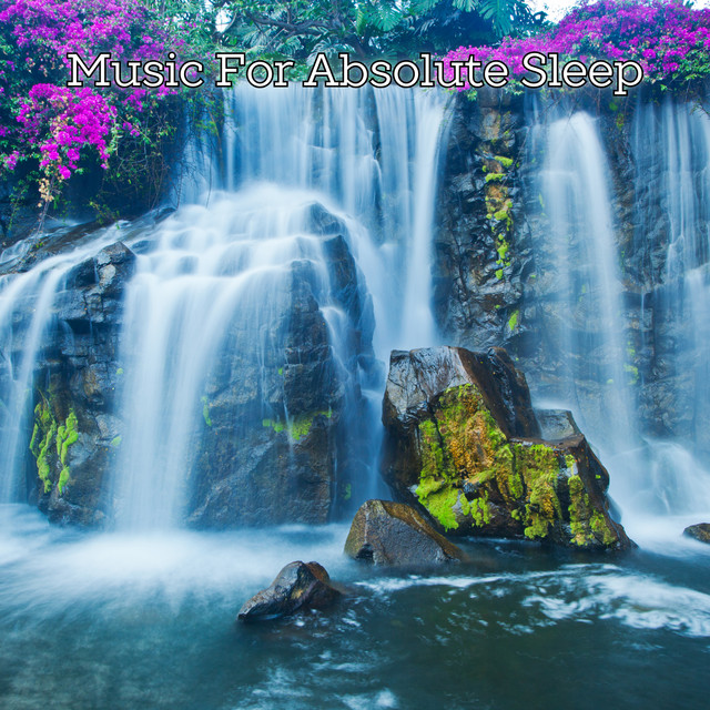 Sleeping Nature Sounds - Album by Music For Absolute Sleep | Spotify