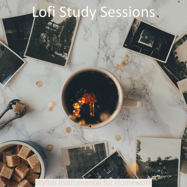 Stylish Instrumental for Homework cover art