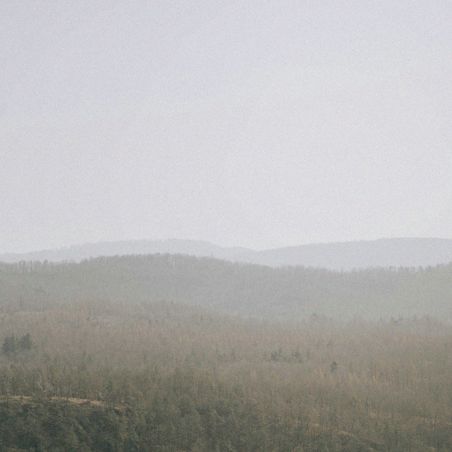 still images