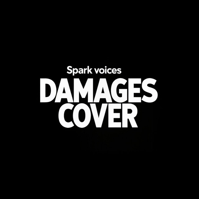 Damages Cover cover