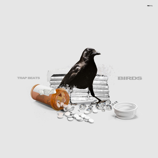 Birds cover art