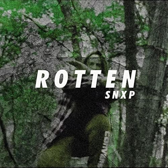 Rotten cover art
