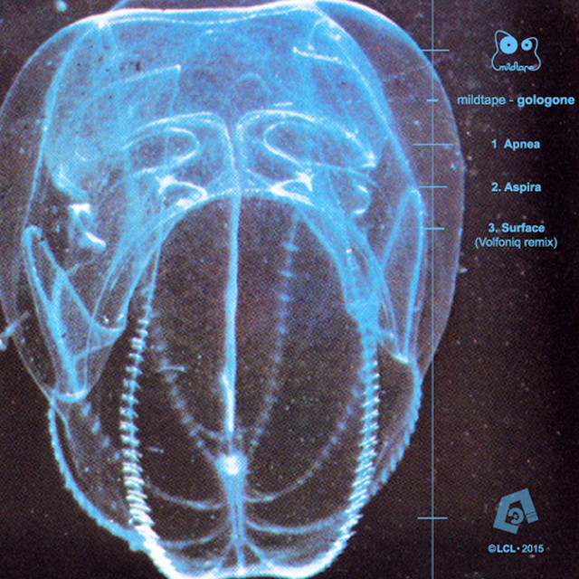 Gologone cover
