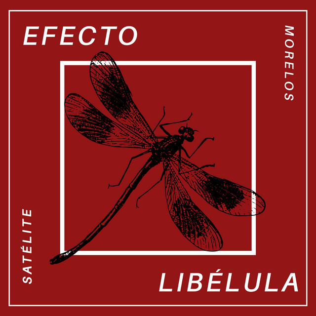 Efecto Libélula cover art