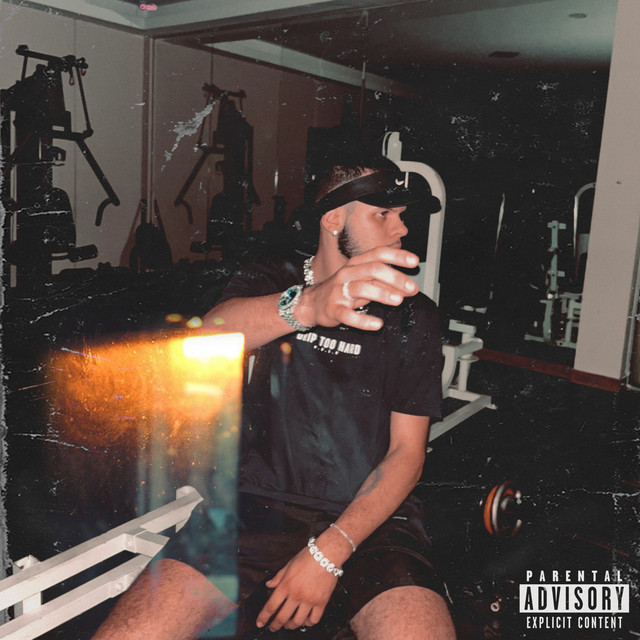 Desenvolvendo - Single by sheikh | Spotify