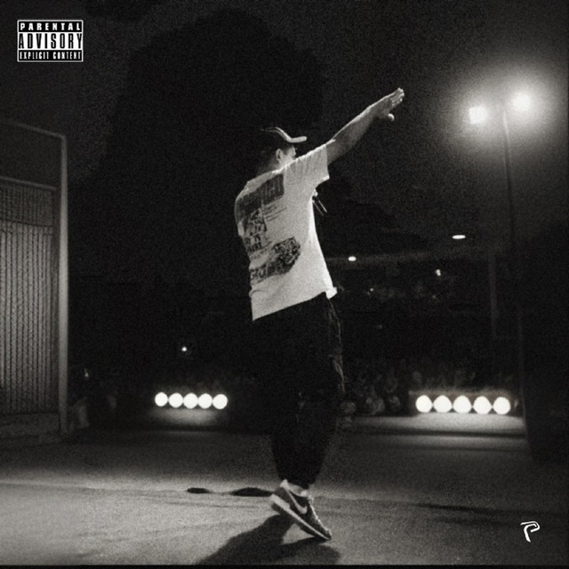 Not A Quitter cover art