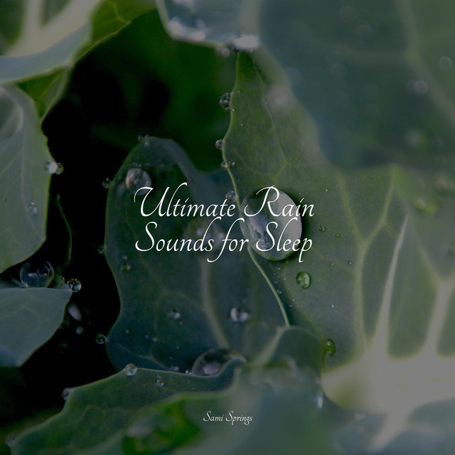 Ultimate Rain Sounds for Sleep - Album by Soothing Nature Sounds | Spotify