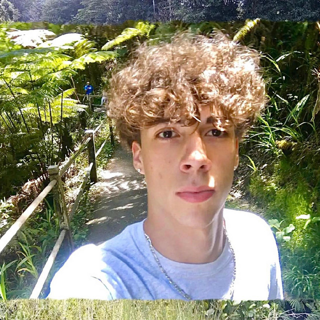 Forest cover art