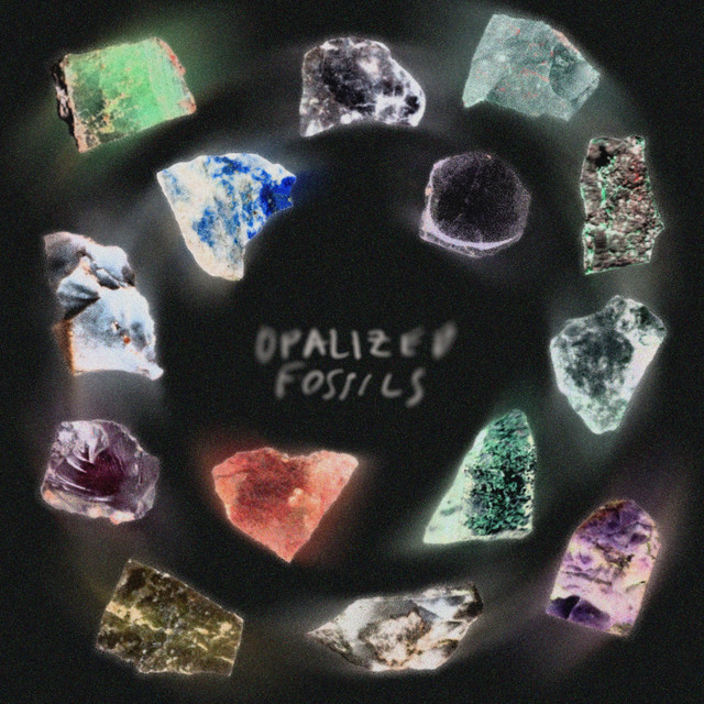 OPALIZED FOSSILS cover art