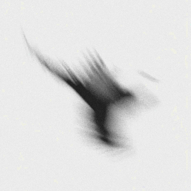 winner cover art
