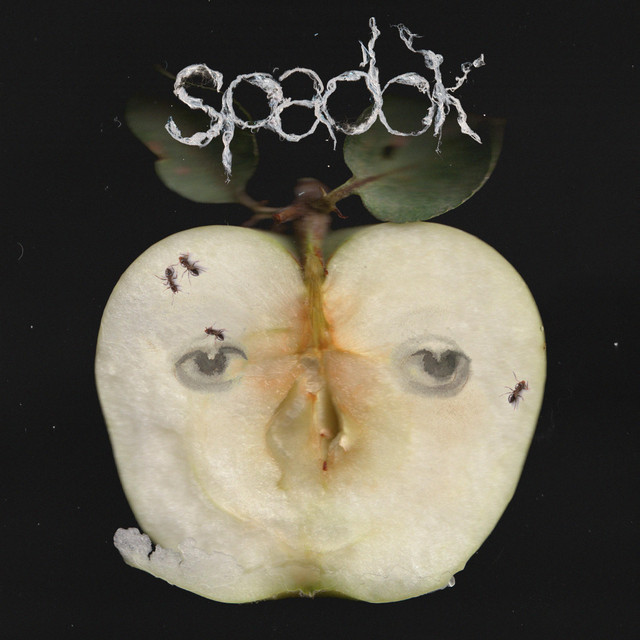 spadok cover art