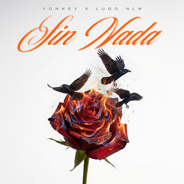 SIN NADA