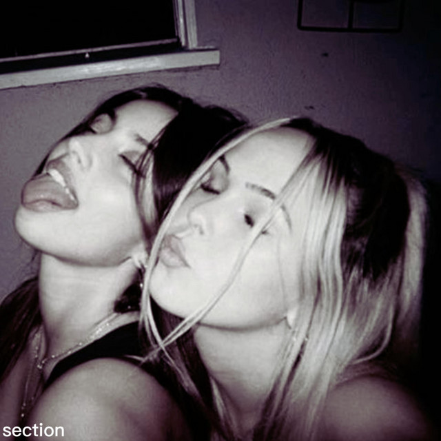 section cover art