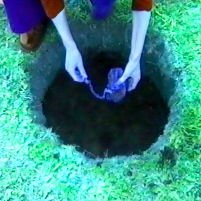 Womb Glow artwork
