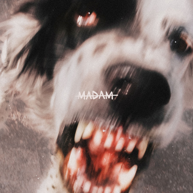 Cover du titre Bullshit