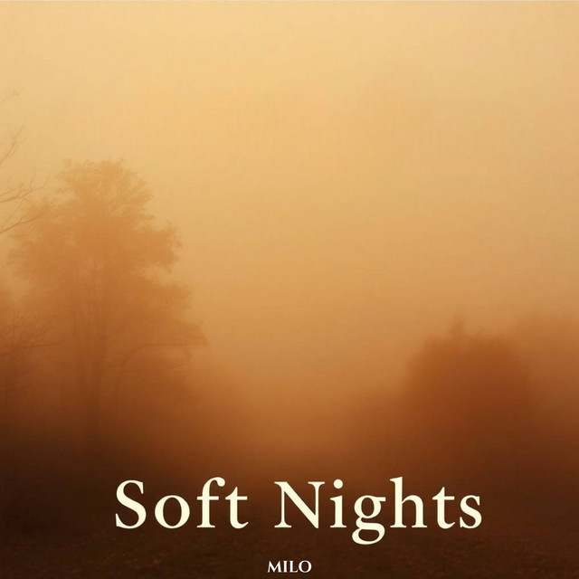 Soft Nights cover art
