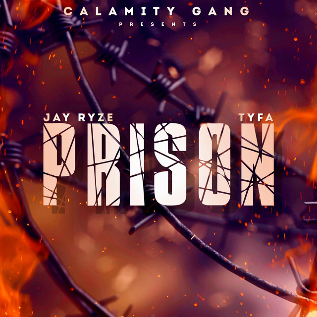Prison cover