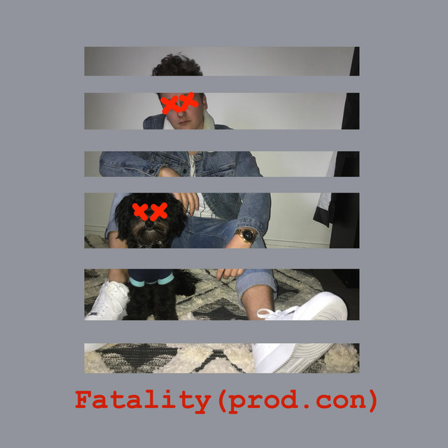 Fatality cover