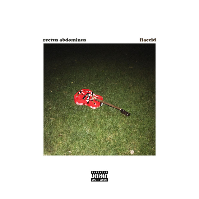 flaccid cover art