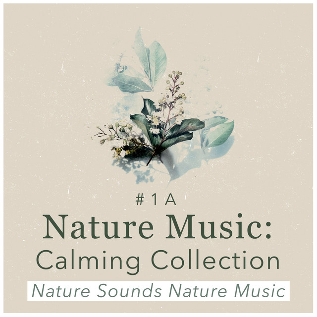 # 1 A Nature Music: Calming Collection - Album by Nature Sounds Nature ...