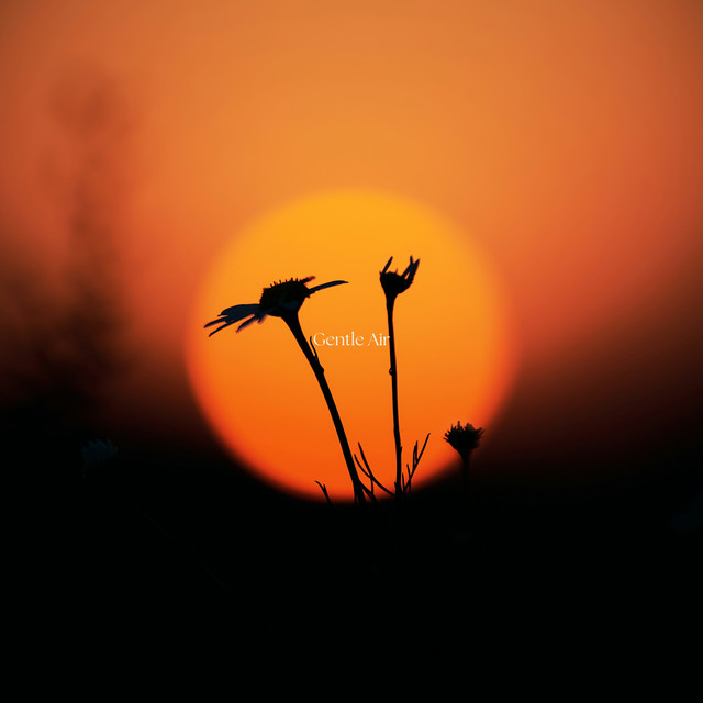 Gentle Air cover art