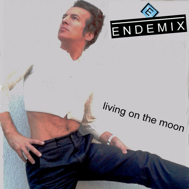 Living on the Moon - Original cover art