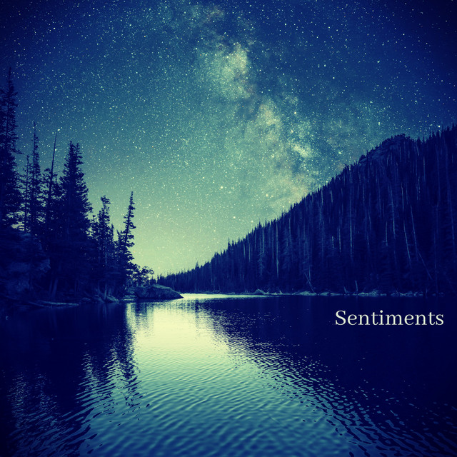 Sentiments Album By Oasis De Detente Et Relaxation Relaxation Detente Zen Ambiance D Eau Calme Spotify