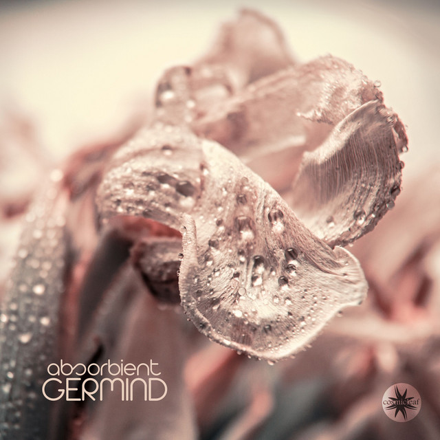 Absorbient cover art