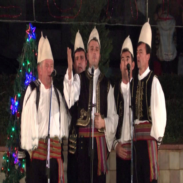Grupi i Tepelenës