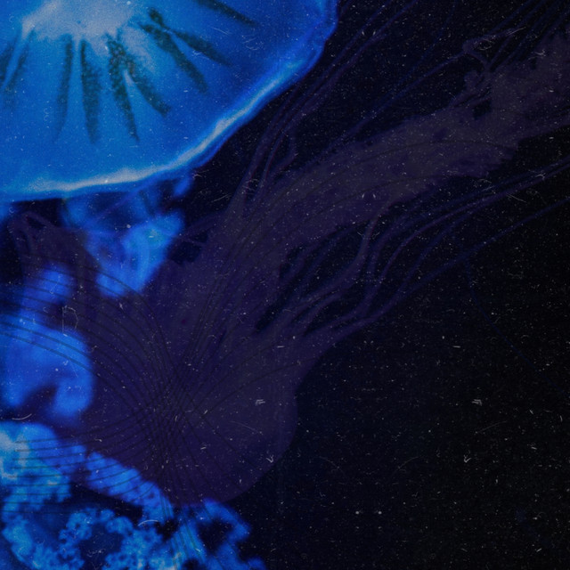 Abyssopelagic cover