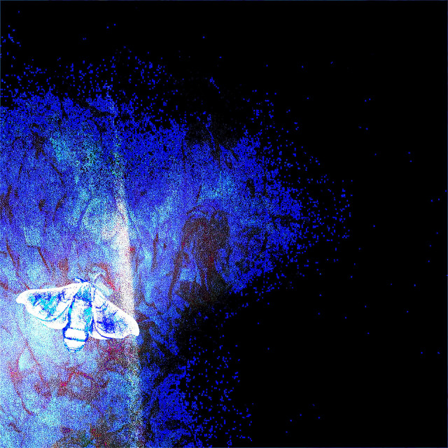 geekedddddd (㇏(•̀ᵥᵥ•́)ノ) (queervampiric x crysalis) cover art