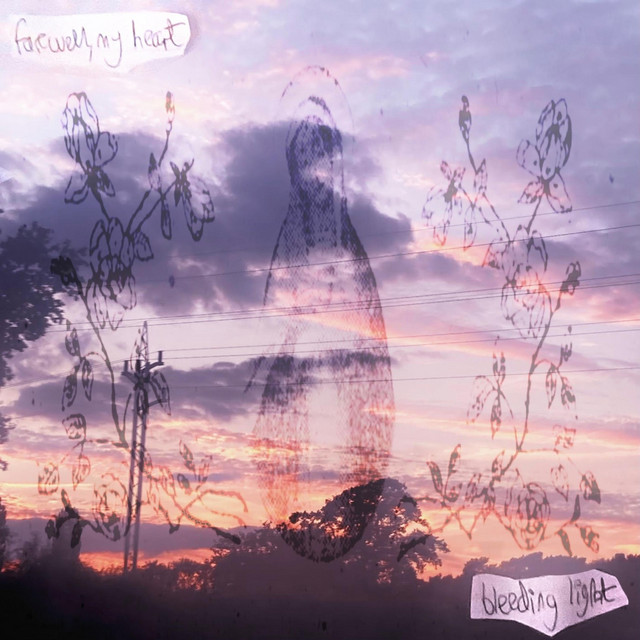 bleeding light cover art