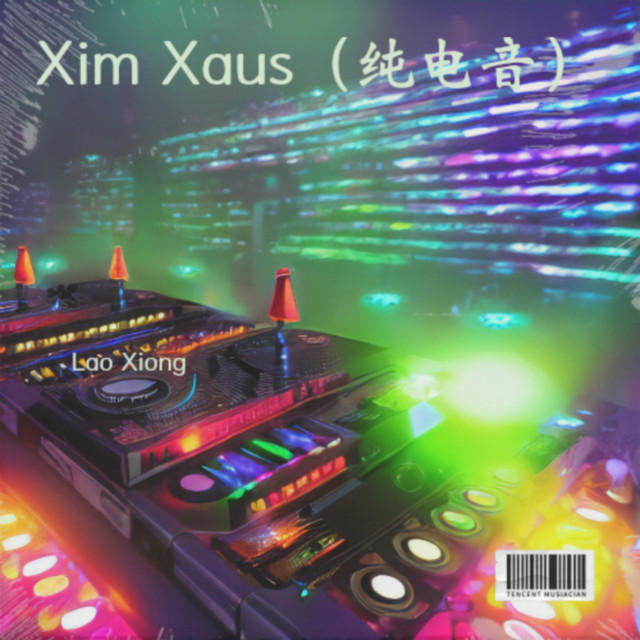 Xim Xaus（纯电音） cover art