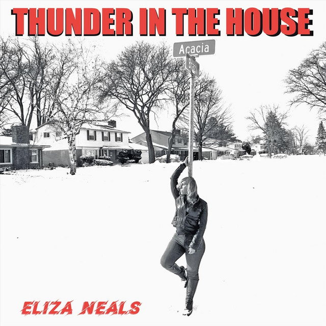 Thunder in the House cover