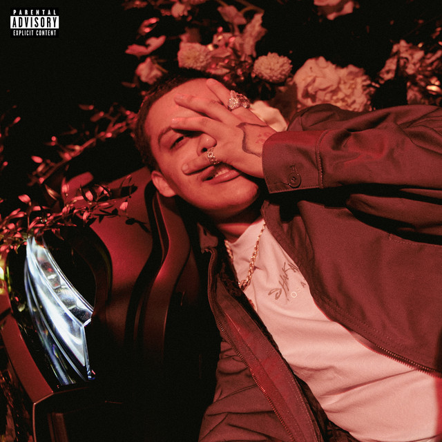 Promise Not To Cry cover art
