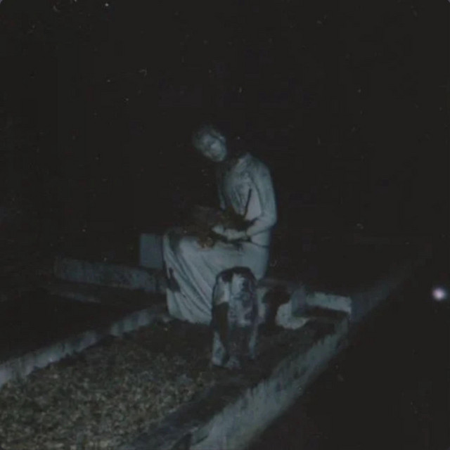 The Asylum 3 cover art