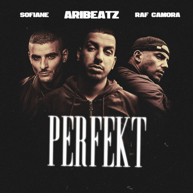 Perfekt (feat. Sofiane) cover art